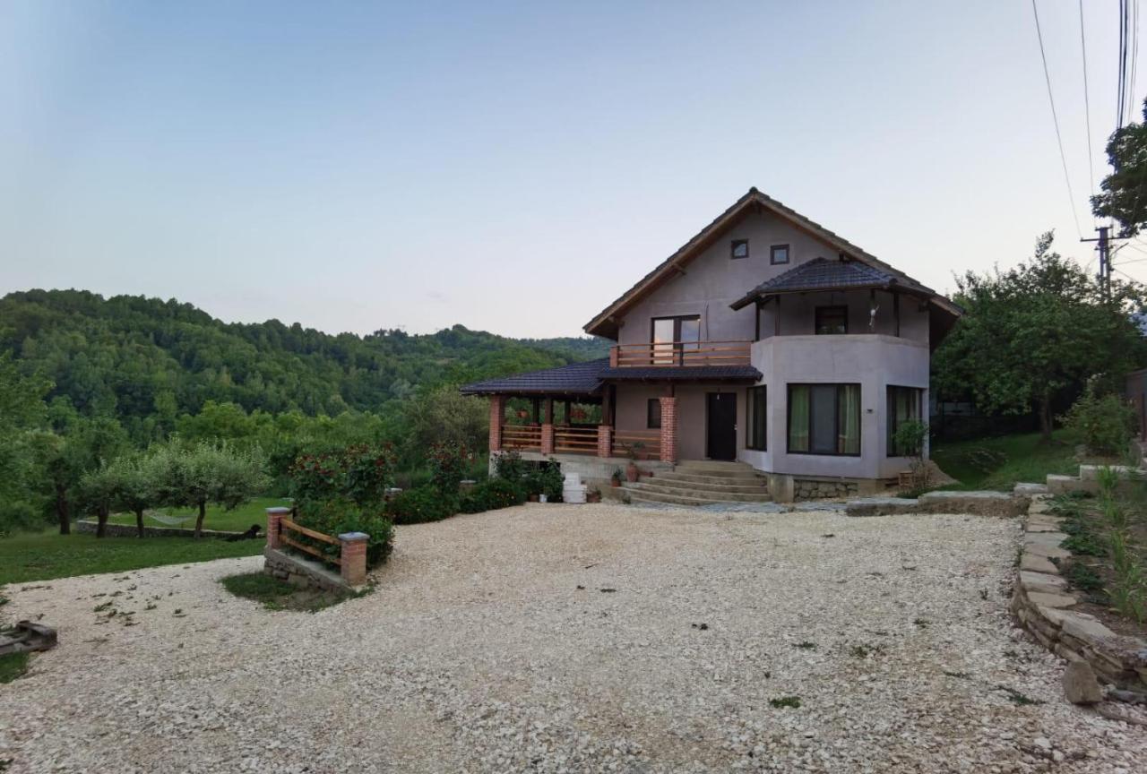 Vila Ella Villa Căpăţîneni-Ungureni Kültér fotó